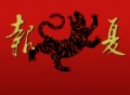 Ds logo.jpg